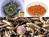 Snack Pack-Soft n Crunchy (Postpaid)