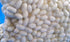 Silkworm Cocoons-25 count (POSTPAID)