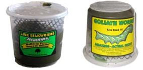 silkworm cup, hornworm cup