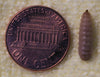 Cup of Medium ReptiWorms (100 Count)