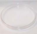 Large Petri Dish