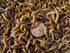 1000 Small Superworms (postpaid)