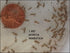 1 week brown house crickets