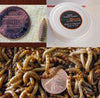 Lil' Herp Combo (Postpaid)