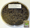 Small Silkworms PLUS 1/4 lb Silkworm Chow