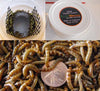 Snack Pack- Medium Herp (Postpaid)