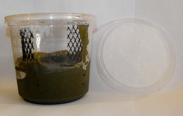 Cup with Mesh and Green Chow (FOR GREEN HORNWORMS)