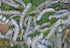 1" (Approx.) Silkworms (25+ Count)