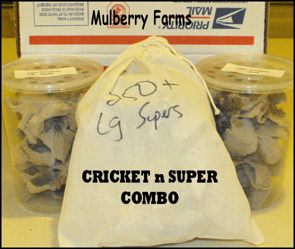 mulberry farms super n cricket combo
